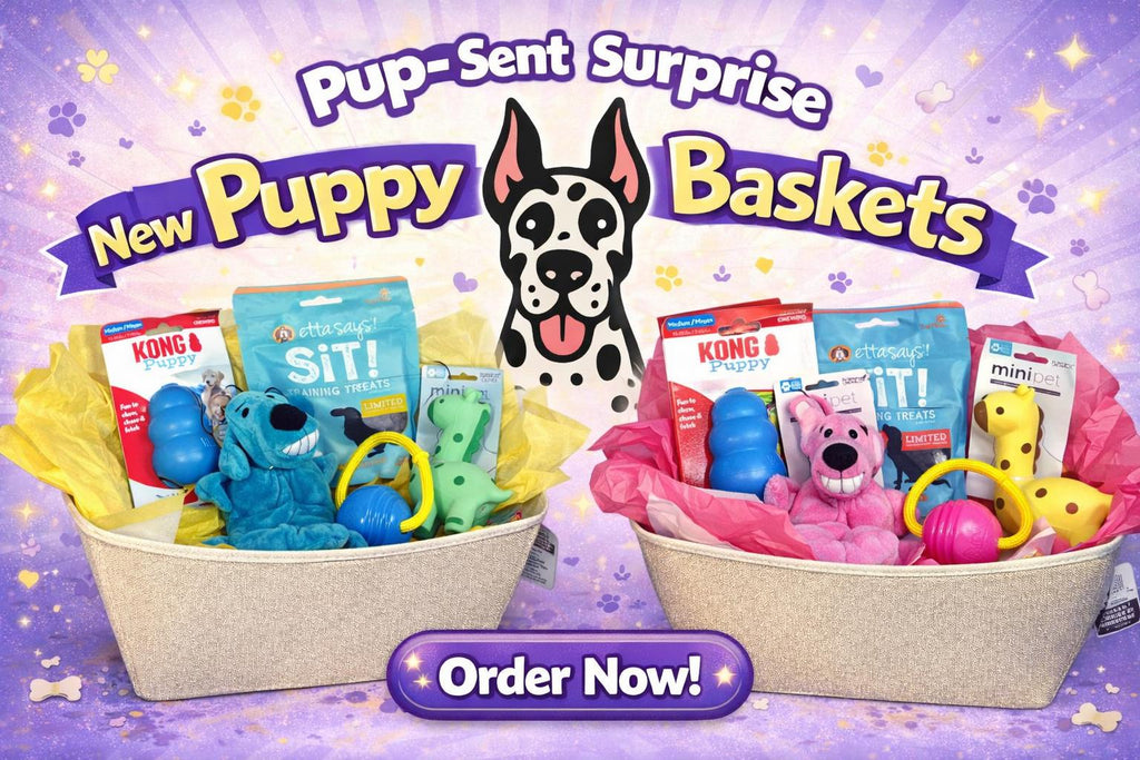 New Puppy Baskets Boy