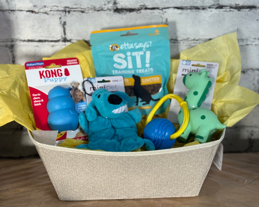 New Puppy Baskets Boy